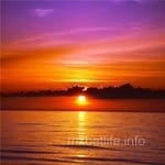 Avatar de Alan Yáñez